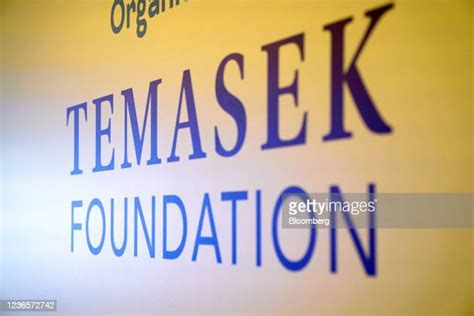 philanthropic foundations in singapore|Temasek Foundation.